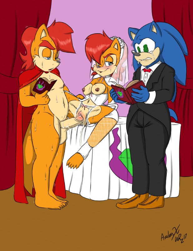 elias acorn, sally acorn, and sonic the hedgehog (sonic the hedgehog (archie) and etc) created by aval0nx