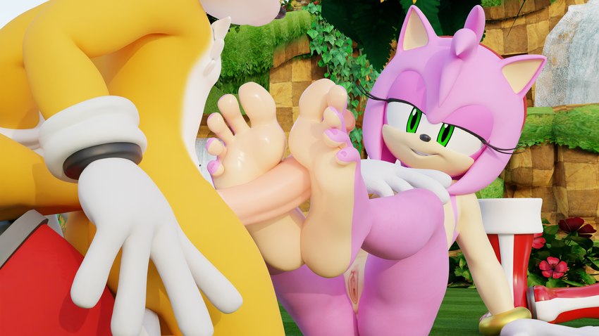 amy rose and miles prower (sonic the hedgehog (series) and etc) created by twintails3d