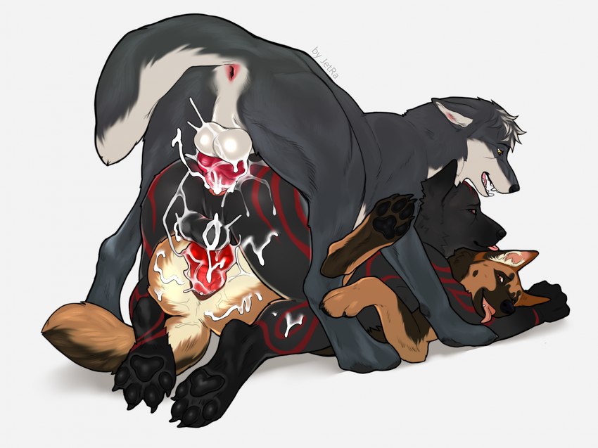 north shepherd and omega wolf created by jetraraven