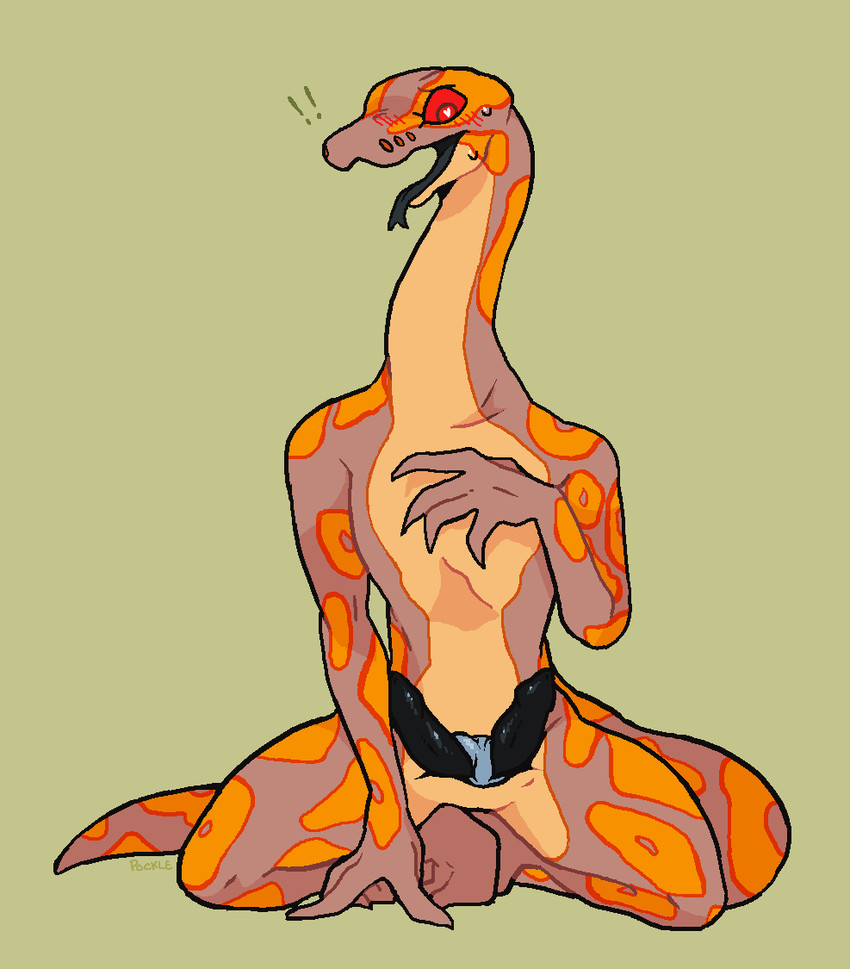 musa created by pockle