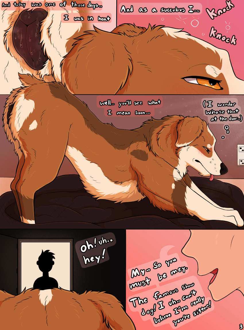 mey created by parooty