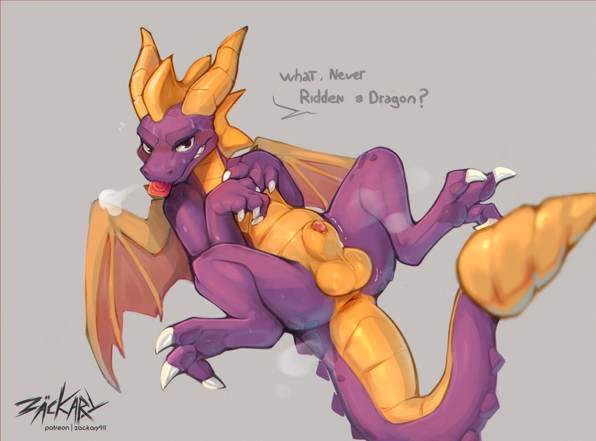 spyro (spyro the dragon and etc) created by zackary911