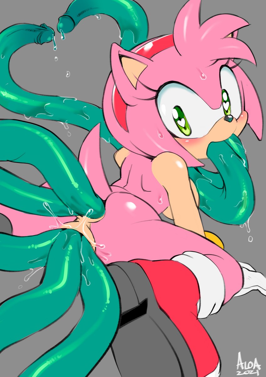 amy rose (sonic the hedgehog (series) and etc) created by midmelt