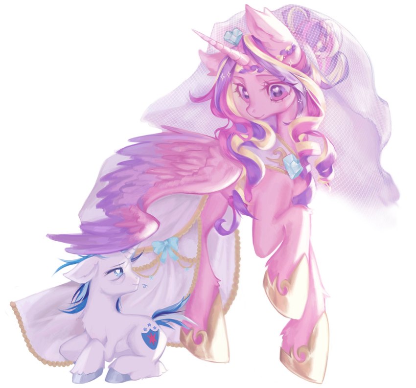 princess cadance and shining armor (the bride and the ugly ass groom and etc) created by denpakyun