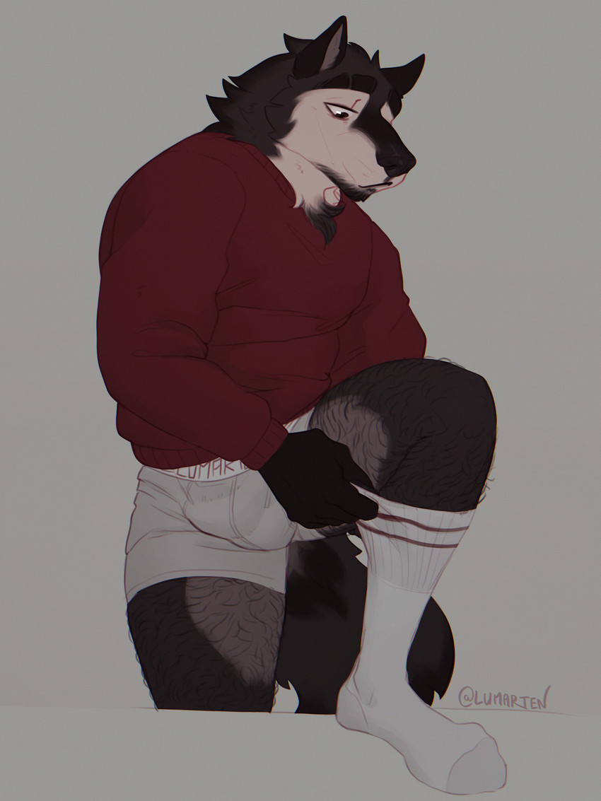 lucas created by lumarten