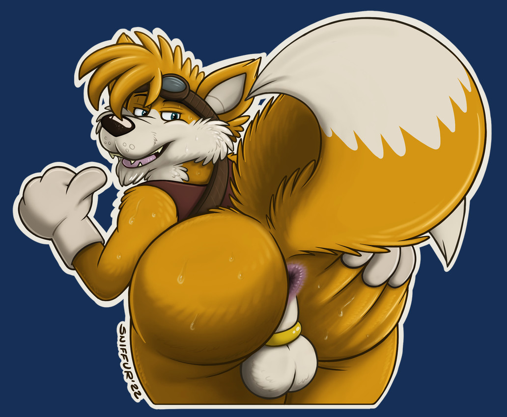 miles prower (sonic the hedgehog (series) and etc) created by sniffur