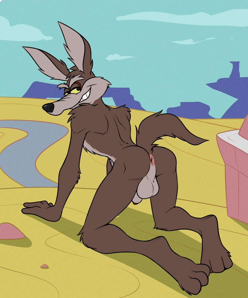 wile e. coyote (warner brothers and etc) created by ben300