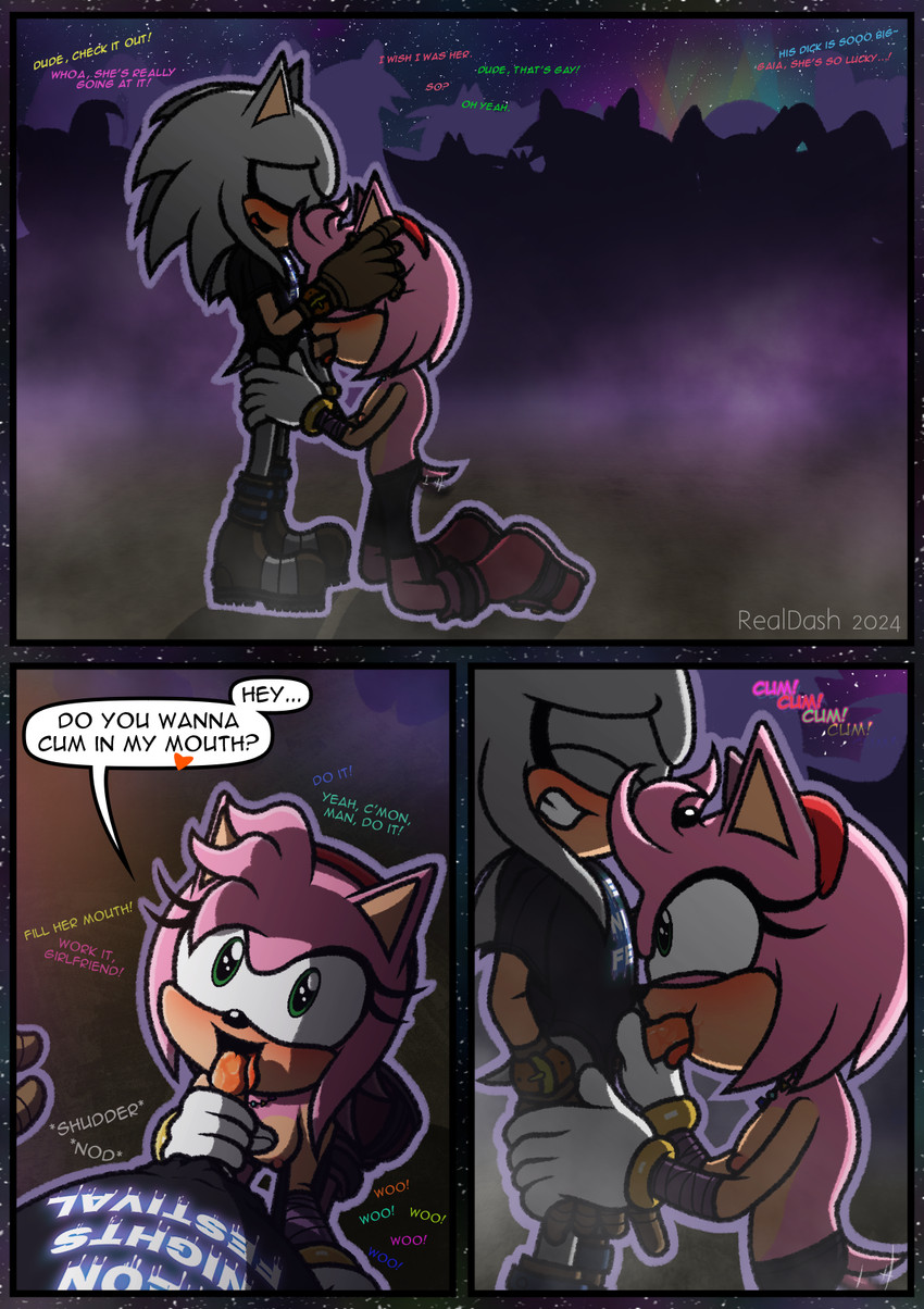 amy rose and storm the hedgehog (sonic the hedgehog (series) and etc) created by realdash