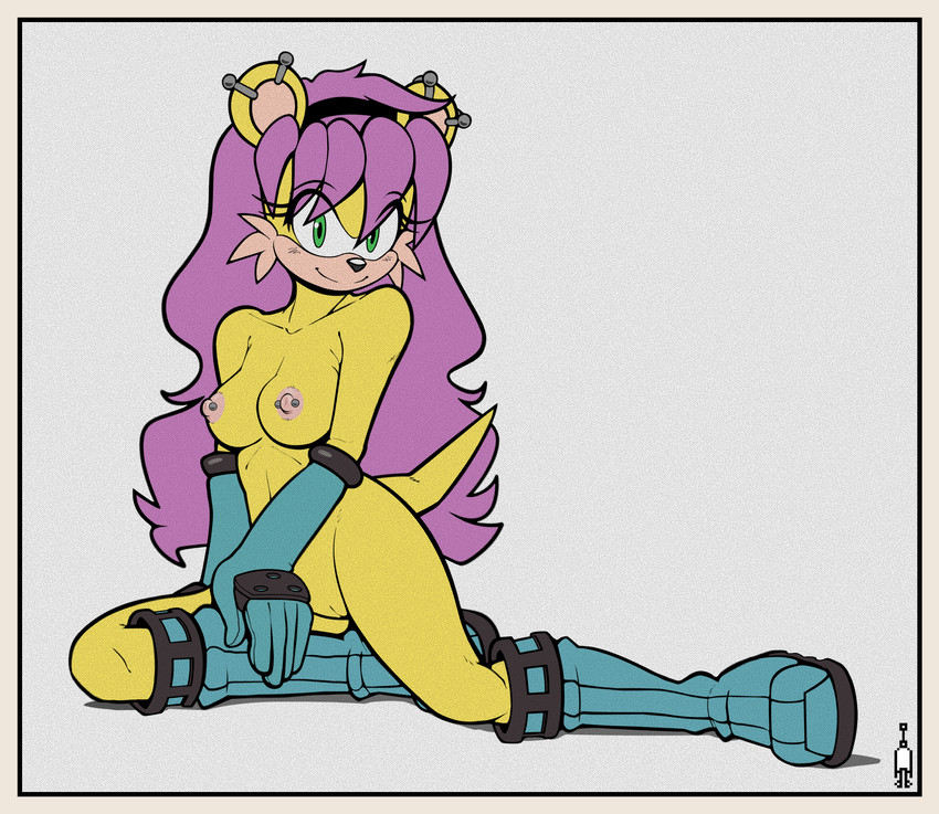 mina mongoose (sonic the hedgehog (archie) and etc) created by ardan norgate