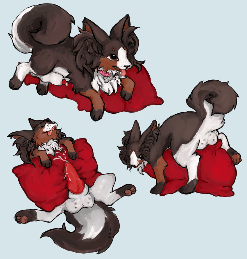 coconut created by 2ri