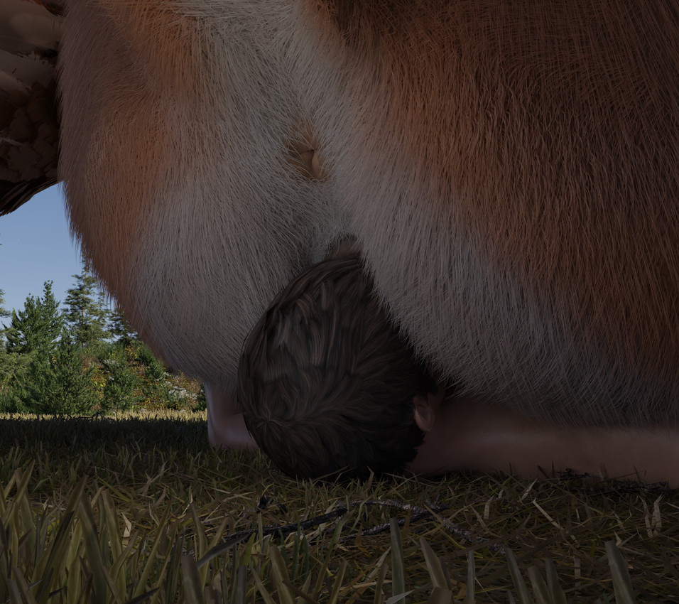 gryphon (mythology) created by racf92