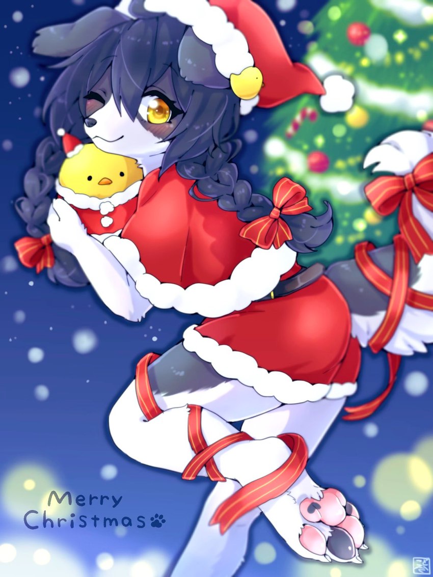 cotorita (christmas) created by koto0v0haru