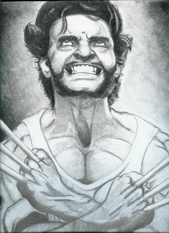 wolverine (marvel and etc) created by alyssasheepdog