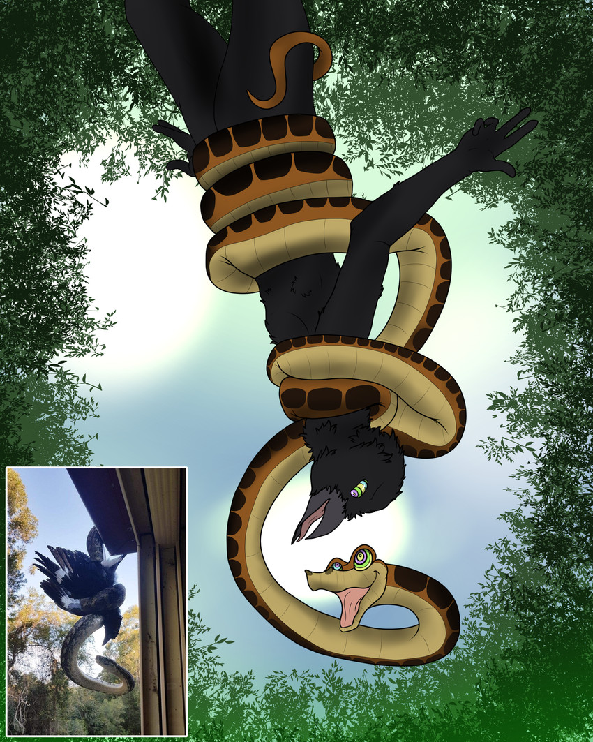 kaa (the jungle book) created by caine latrans (artist)