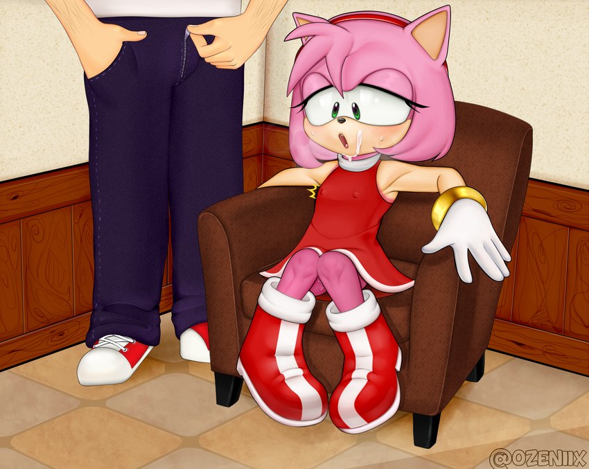 amy rose (sonic the hedgehog (series) and etc) created by ozeniix