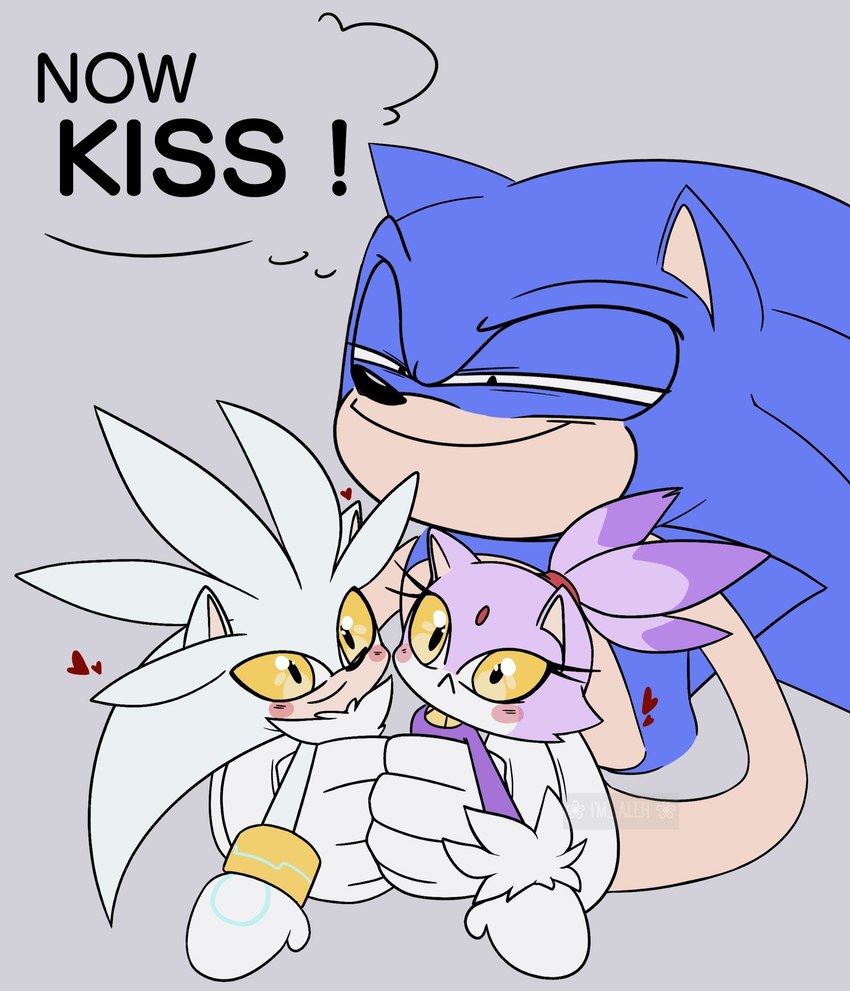 blaze the cat, silver the hedgehog, and sonic the hedgehog (sonic the hedgehog (series) and etc) created by ialehlg