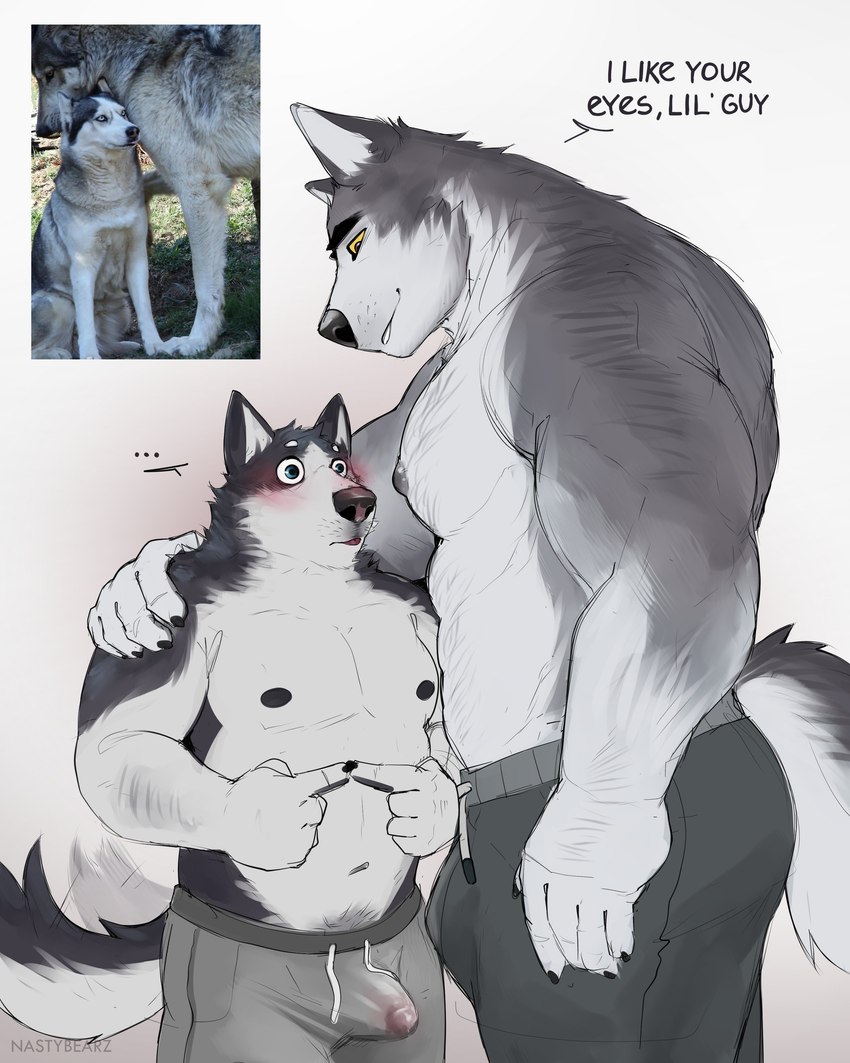 husky and wolf meme created by nastybearz