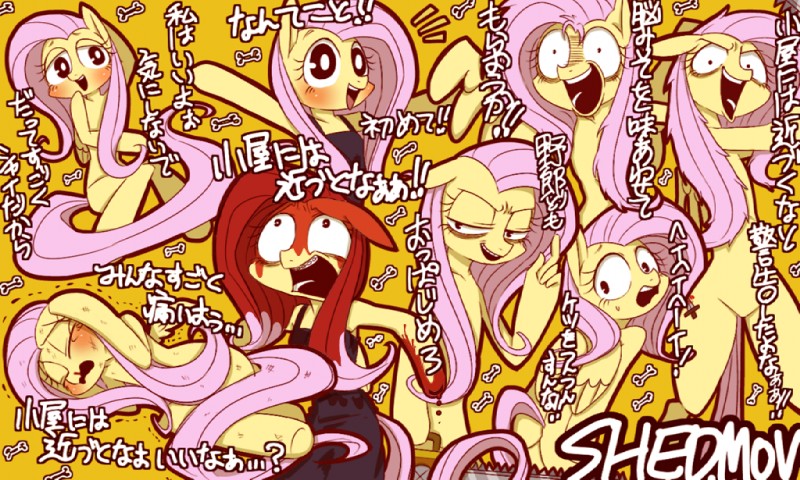 fluttershy (friendship is magic and etc) created by umeguru