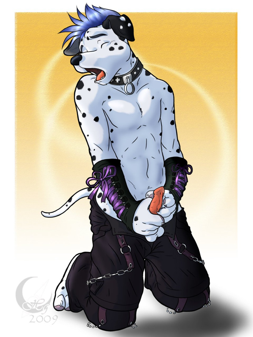 created by eclipticafusion