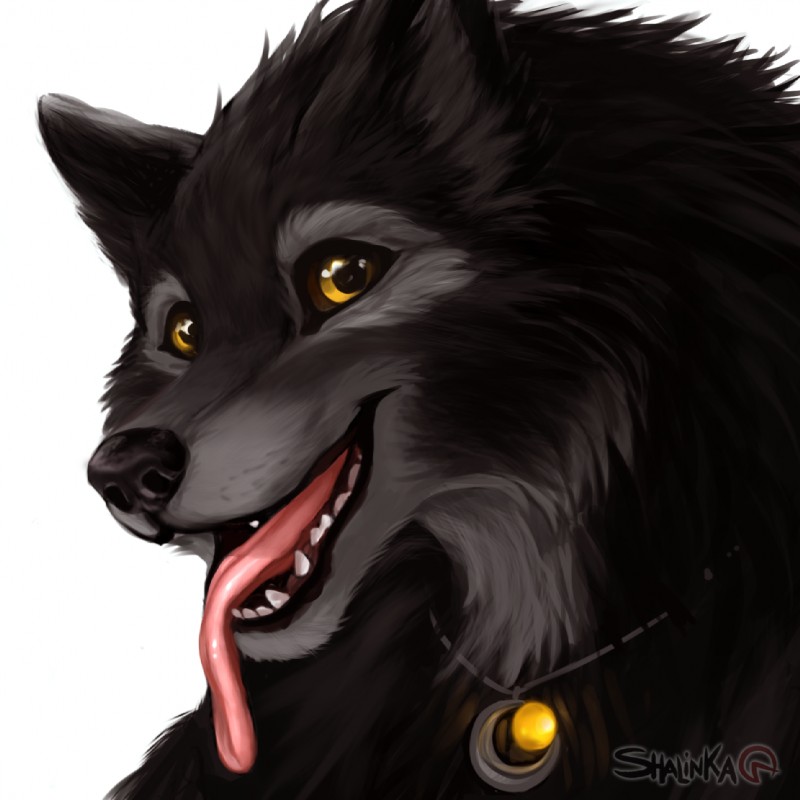 shadow wolf (mythology) created by shalinka