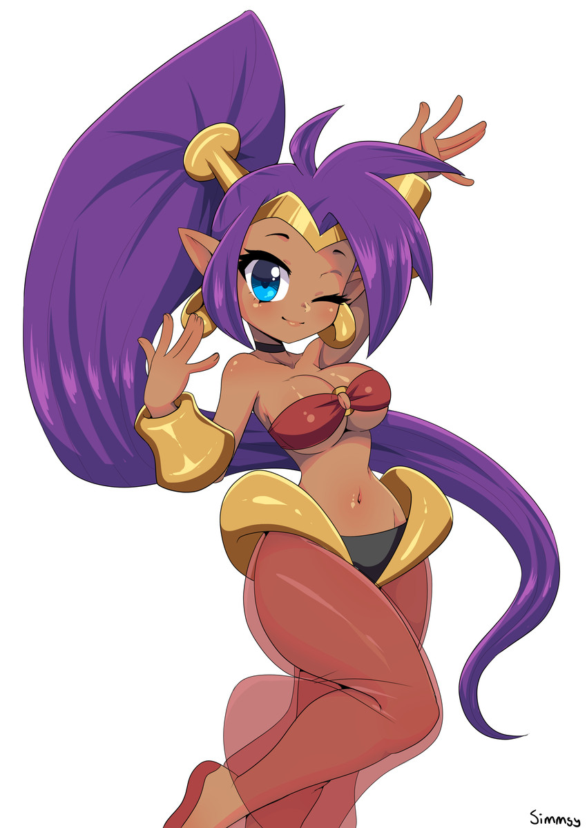 shantae (shantae (series) and etc) created by simmsyboy