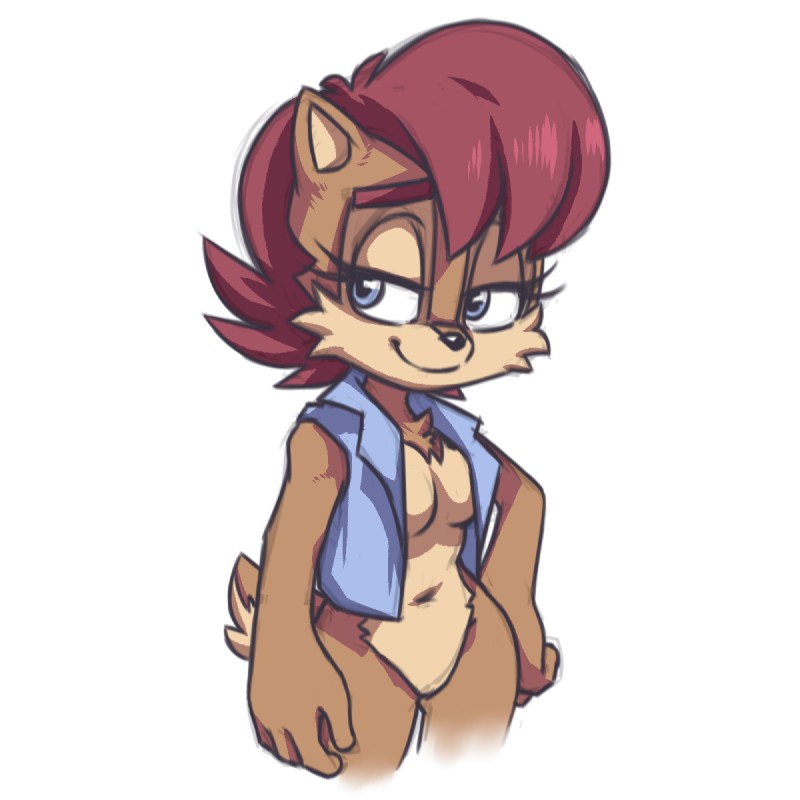 sally acorn (sonic the hedgehog (archie) and etc) created by plagueofgripes