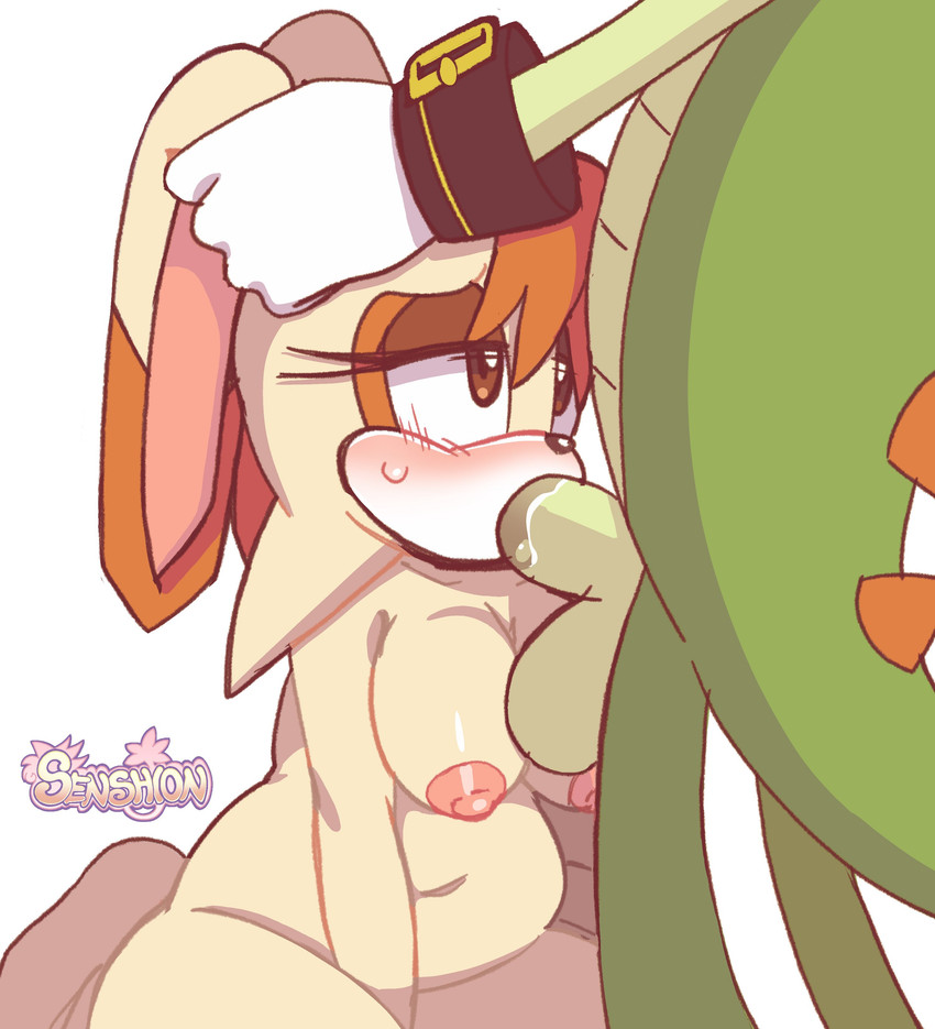 vanilla the rabbit and vector the crocodile (sonic the hedgehog (series) and etc) created by senshion