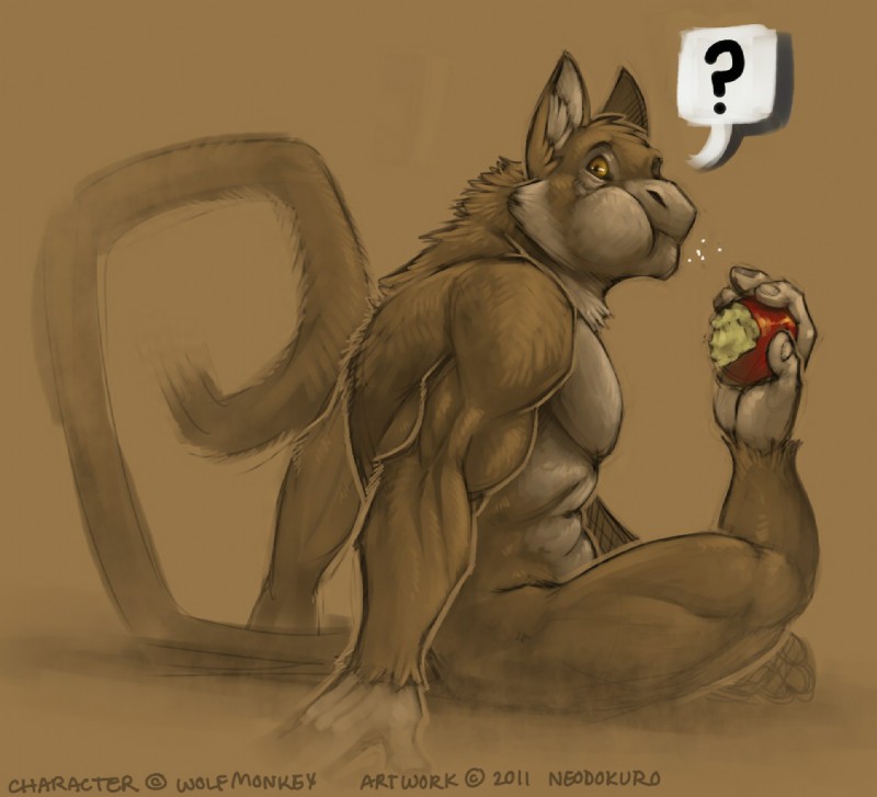 wolfmonkey created by neodokuro