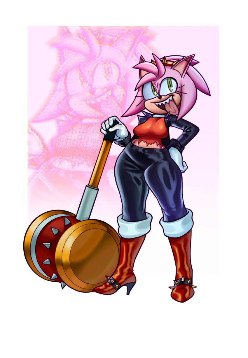 amy rose (sonic the hedgehog (series) and etc) created by palegarbo