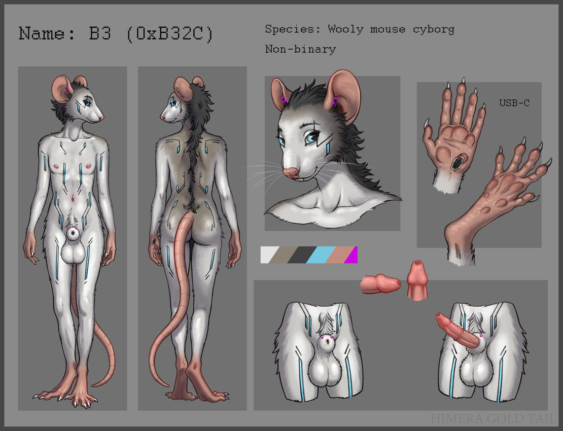 b3 created by himeragoldtail