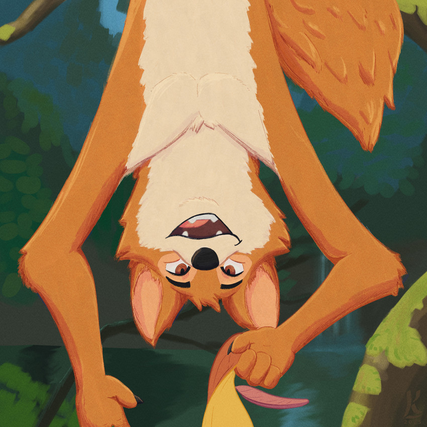 robin hood (disney) and etc created by kalembi