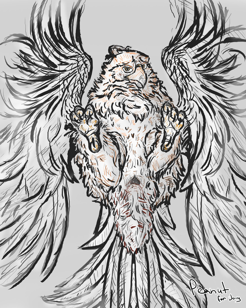 addison (frisky ferals) created by peanut for jay