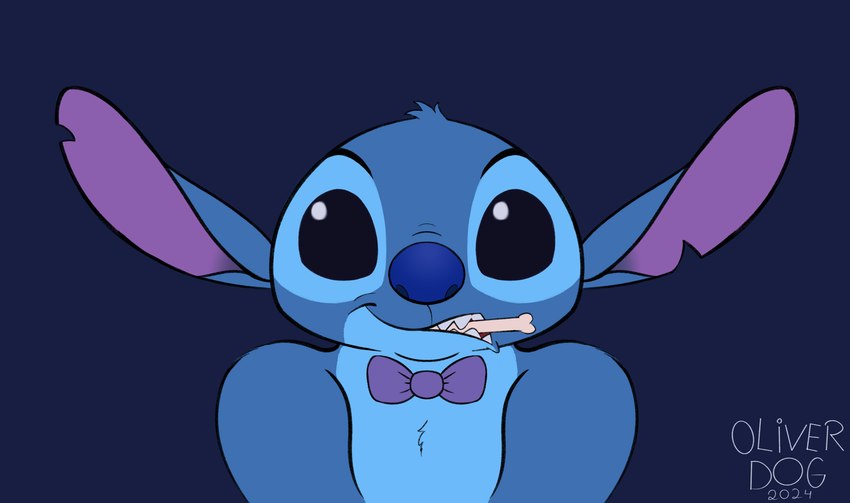 stitch (lilo and stitch and etc) created by oliverdog