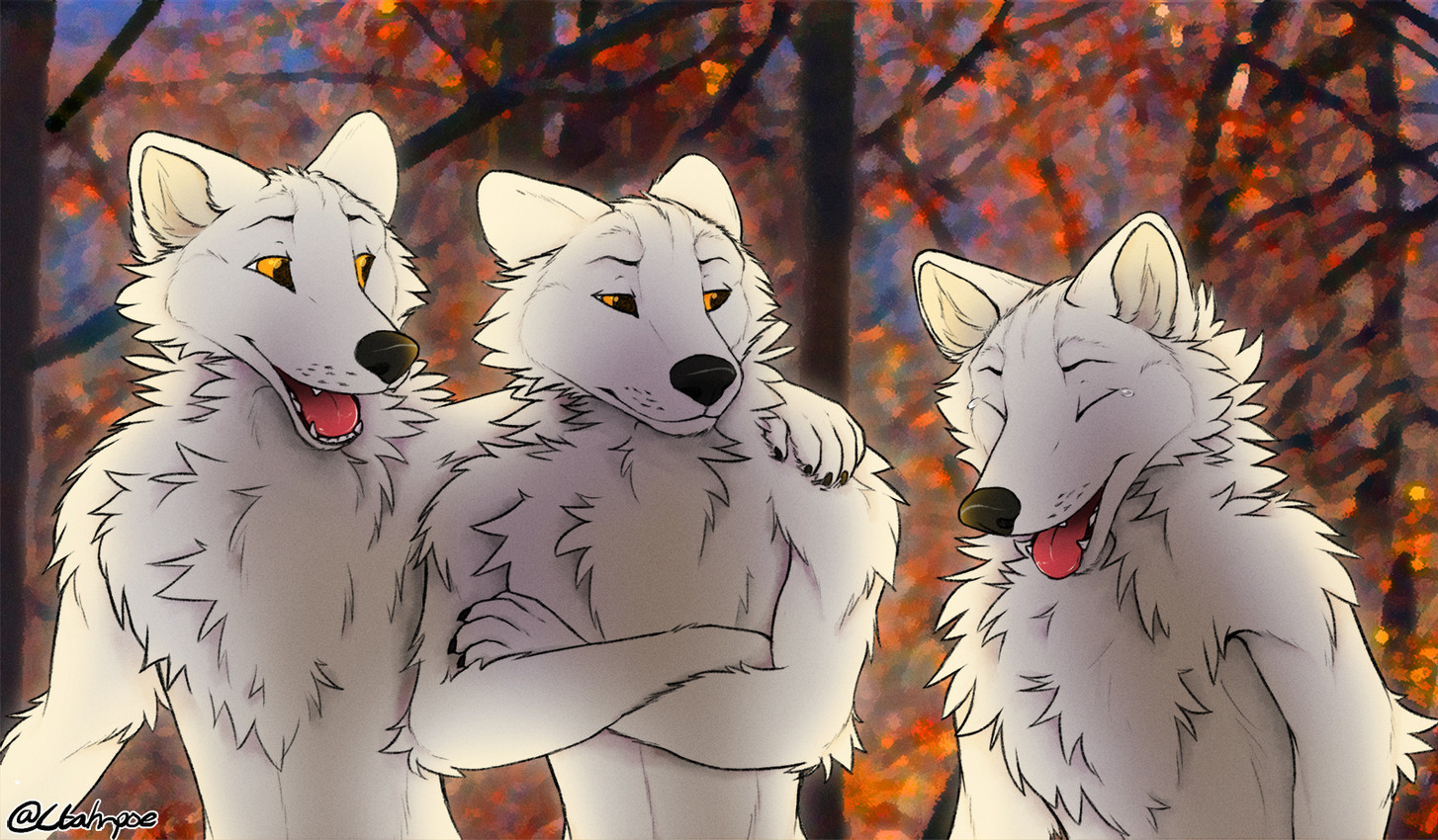 laughing wolves meme and etc created by ctahrpoe