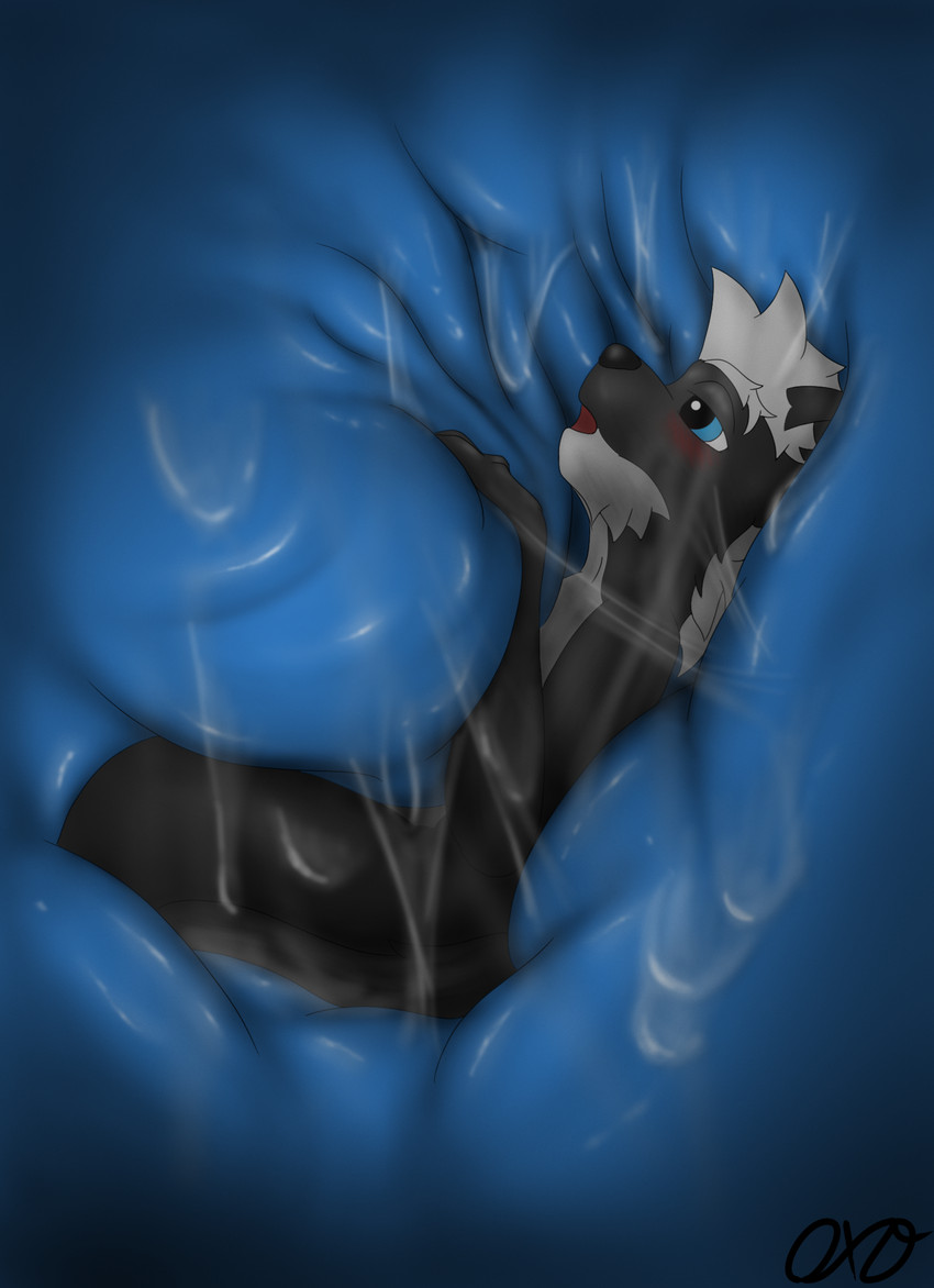 odis created by orcaxdragon