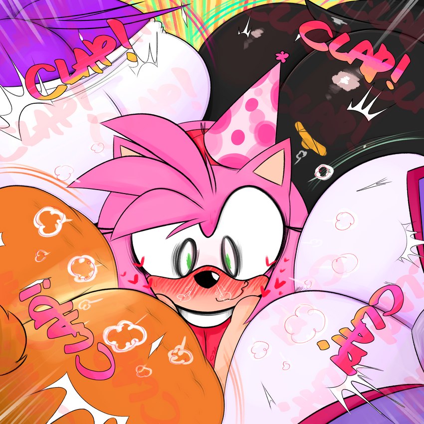 amy rose, blaze the cat, rouge the bat, sally acorn, and wave the swallow (sonic the hedgehog (archie) and etc) created by ota (artist)