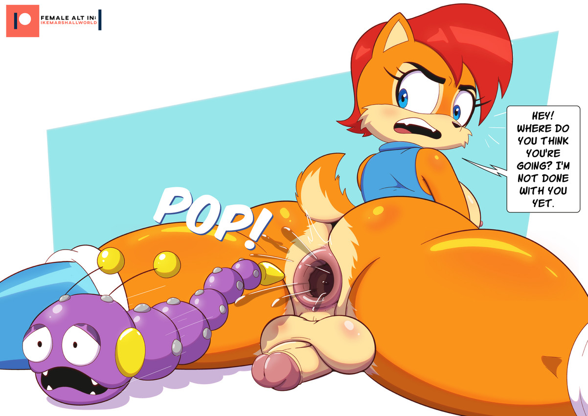 sally acorn (sonic the hedgehog (series) and etc) created by ike marshall