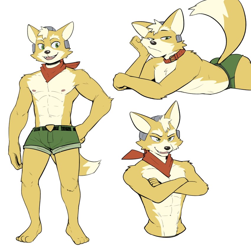 fox mccloud (nintendo and etc) created by jrjresq