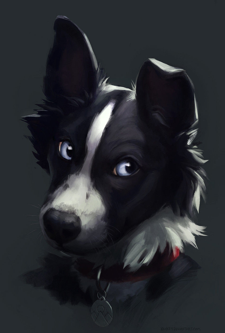 vincollie created by kenket