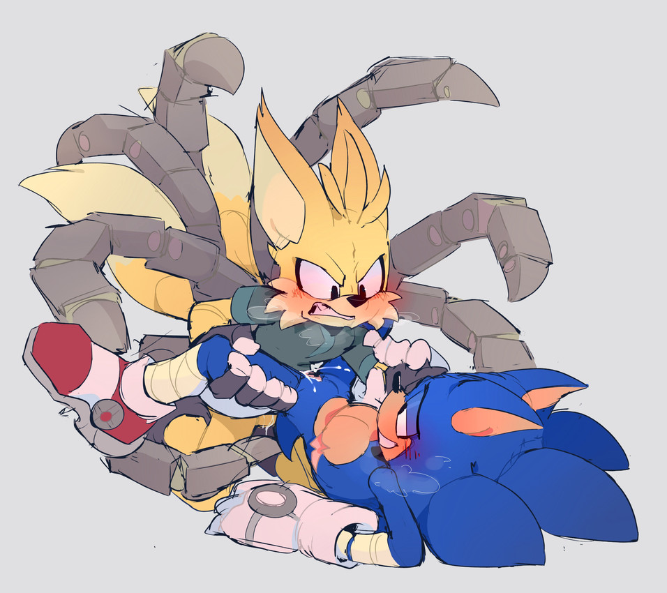 sonic the hedgehog and tails nine (sonic the hedgehog (series) and etc) created by drop dash