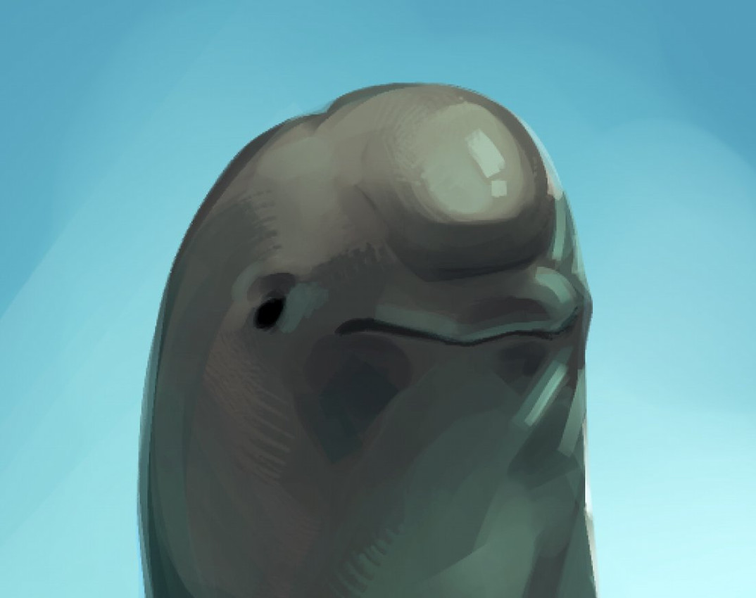smiling dolphin (meme) created by rekkadraws