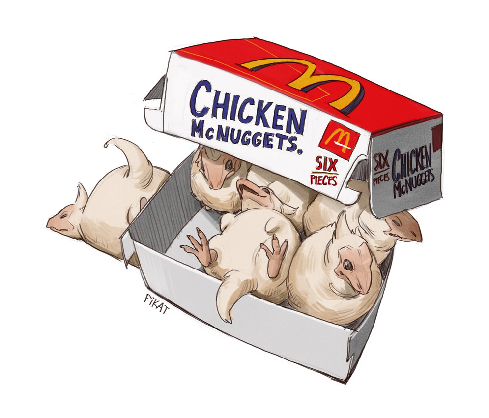 monster hunter and etc created by pikat