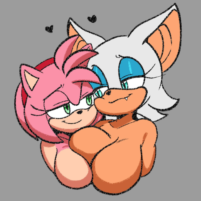 amy rose and rouge the bat (sonic the hedgehog (series) and etc) created by raijinoni