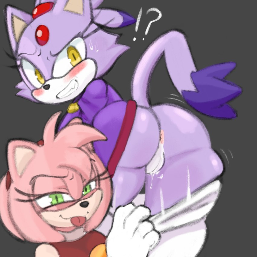 amy rose and blaze the cat (sonic the hedgehog (series) and etc) created by neisucksatart