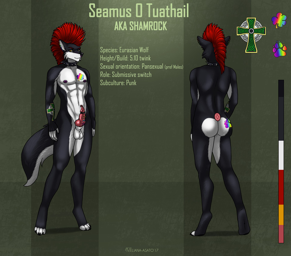 seamus o tuathail created by eliana-asato
