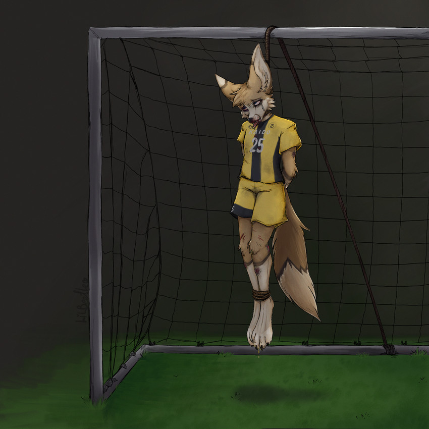 akasch created by lil beetle