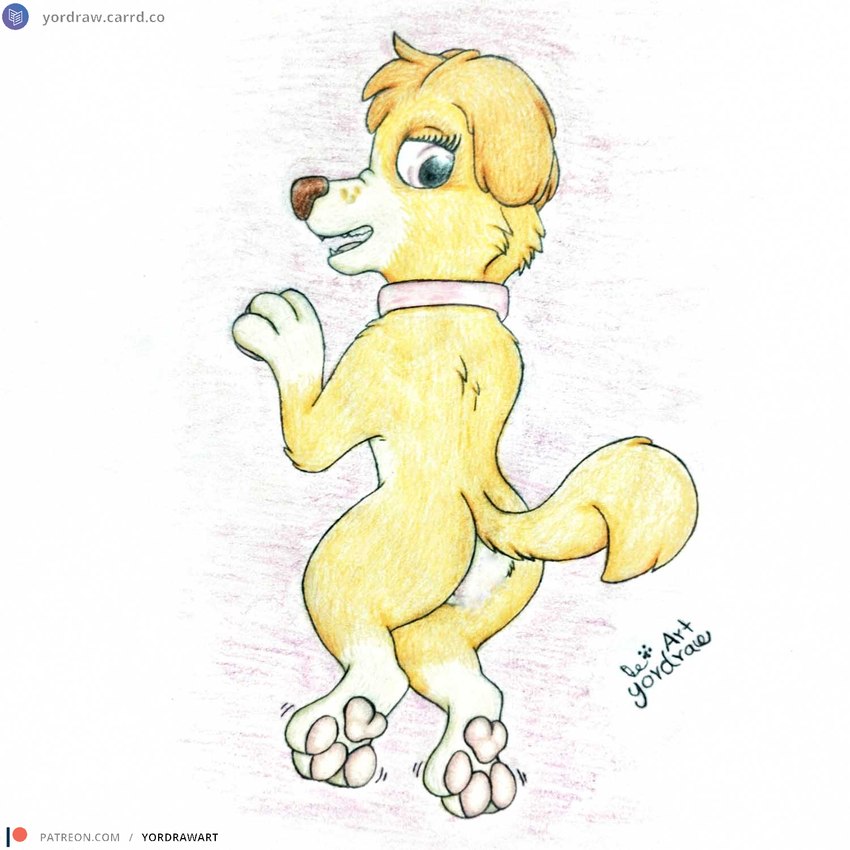 skye (paw patrol) created by yordraw