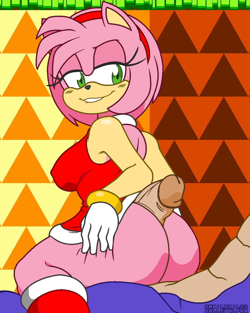 amy rose and sonic the hedgehog (sonic the hedgehog (series) and etc) created by dalley-the-alpha and snailbail22