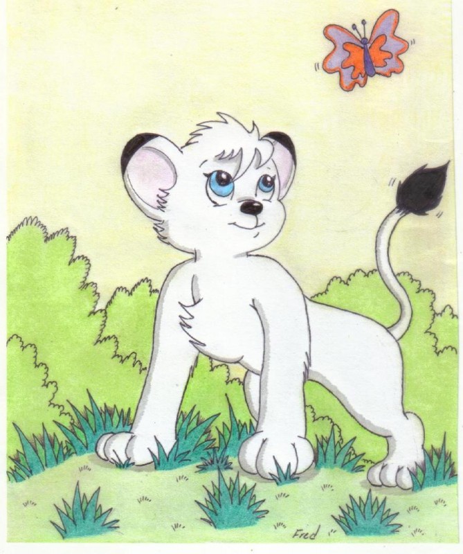 kimba (kimba the white lion and etc) created by fredvegerano