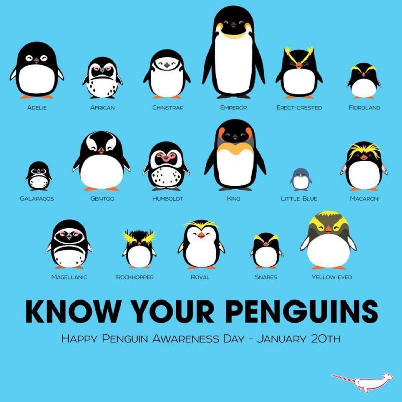 penguin awareness day created by unknown artist